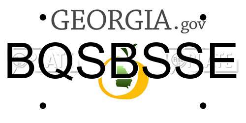 BQSBSSE Georgia License Plate