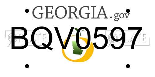 BQV0597 Georgia License Plate