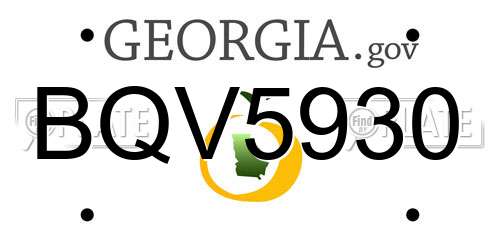 BQV5930 Georgia License Plate