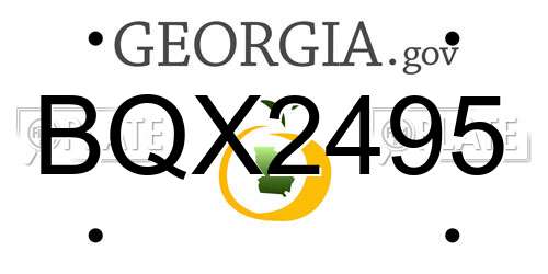 BQX2495 Georgia License Plate