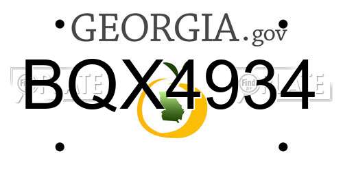 BQX4934 Georgia License Plate