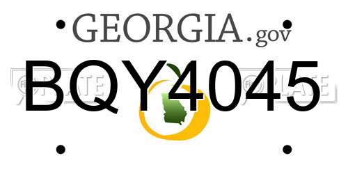 BQY4045 Georgia License Plate