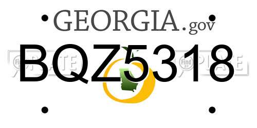 BQZ5318 Georgia License Plate