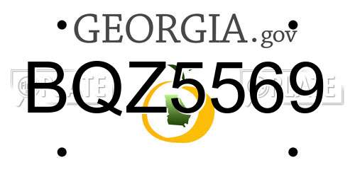 BQZ5569 Georgia License Plate