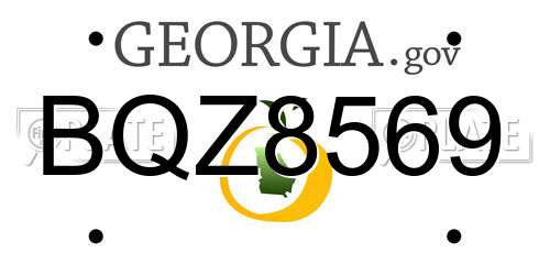 BQZ8569 Georgia License Plate