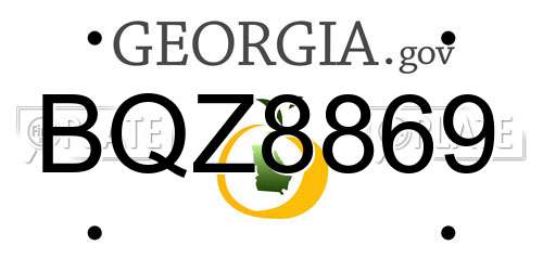 BQZ8869 Georgia License Plate