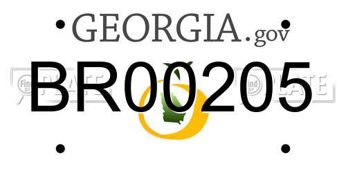BR00205 Georgia License Plate