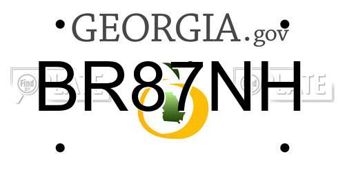BR87NH Georgia License Plate
