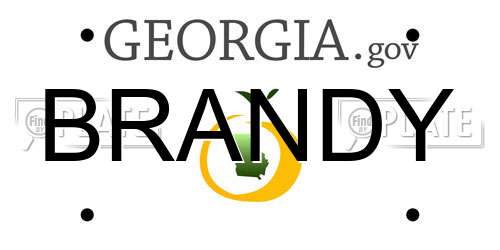 BRANDY Georgia License Plate