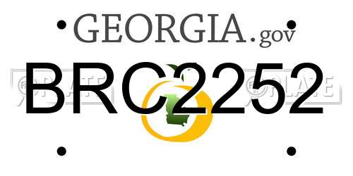 BRC2252 Georgia License Plate