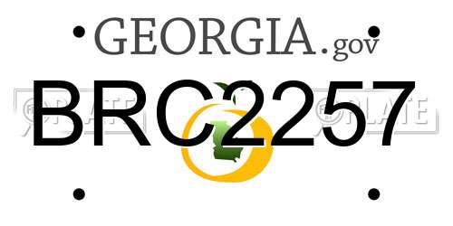 BRC2257 Georgia License Plate