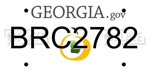 BRC2782 Georgia License Plate