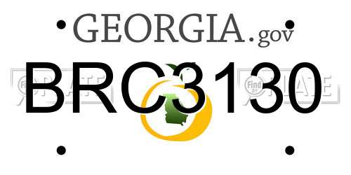 BRC3130 Georgia License Plate