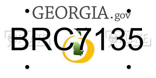 BRC7135 Georgia License Plate