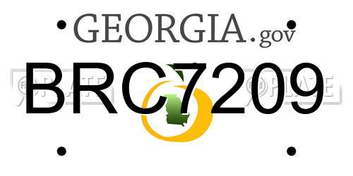 BRC7209 Georgia License Plate