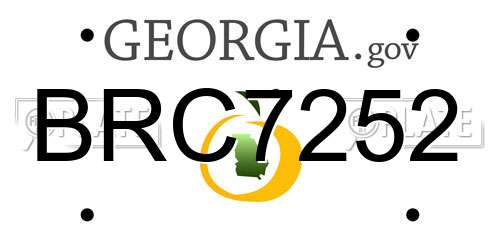 BRC7252 Georgia License Plate