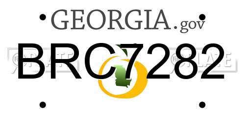 BRC7282 Georgia License Plate