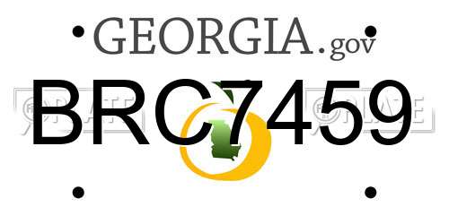 BRC7459 Georgia License Plate