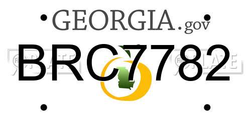 BRC7782 Georgia License Plate