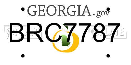 BRC7787 Georgia License Plate