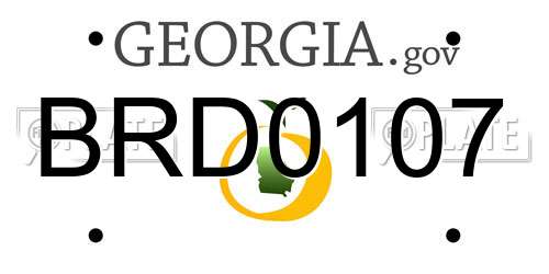 BRD0107 Georgia License Plate