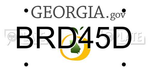 BRD45D Georgia License Plate