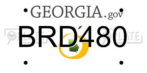 BRD480 Georgia License Plate