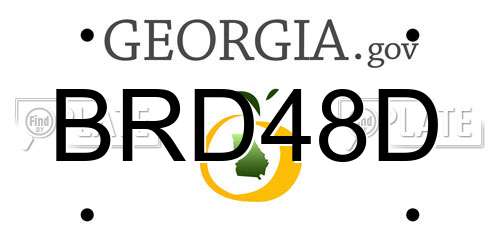 BRD48D Georgia License Plate