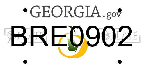 BRE0902 Georgia License Plate