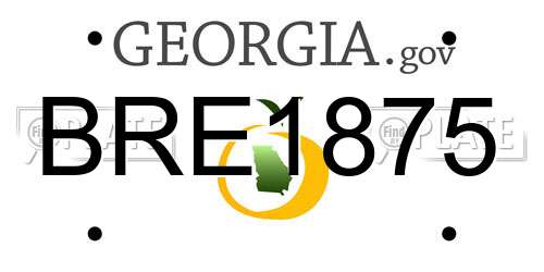 BRE1875 Georgia License Plate