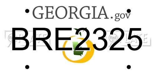 BRE2325 Georgia License Plate