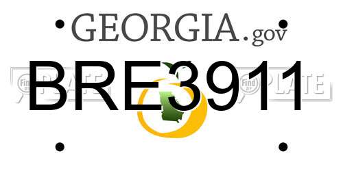 BRE3911 Georgia License Plate