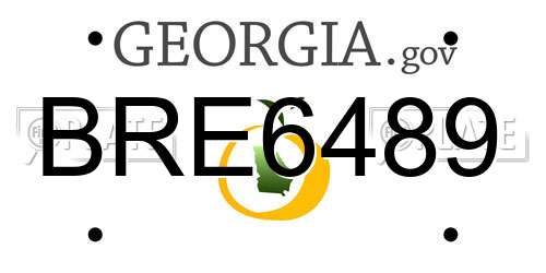 BRE6489 Georgia License Plate