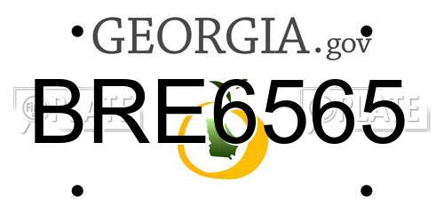 BRE6565 Georgia License Plate