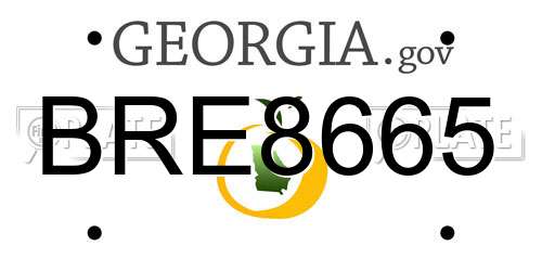 BRE8665 Georgia License Plate