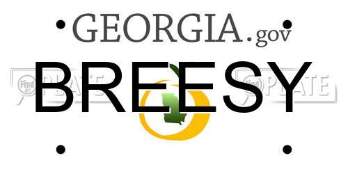 BREESY Georgia License Plate