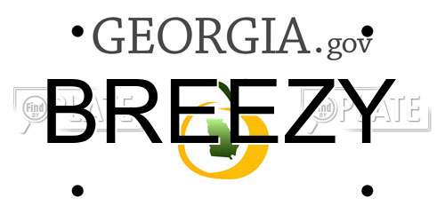 BREEZY Georgia License Plate