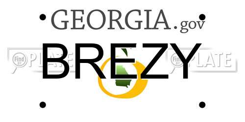 BREZY Georgia License Plate
