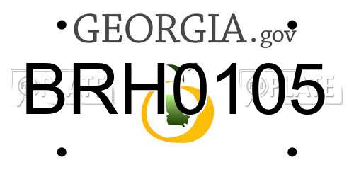BRH0105 Georgia License Plate