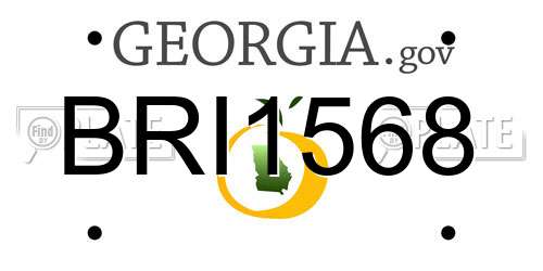BRI1568 Georgia License Plate