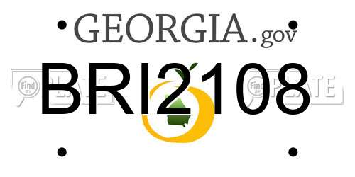 BRI2108 Georgia License Plate