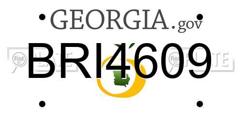 BRI4609 Georgia License Plate