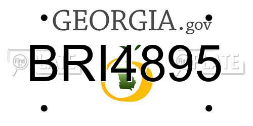 BRI4895 Georgia License Plate