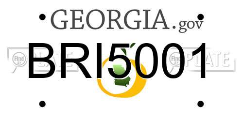 BRI5001 Georgia License Plate