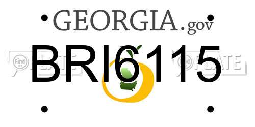 BRI6115 Georgia License Plate