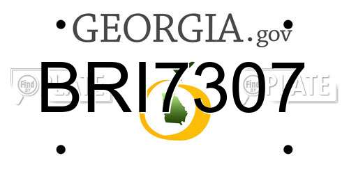 BRI7307 Georgia License Plate