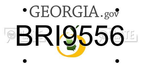 BRI9556 Georgia License Plate