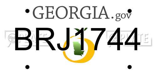 BRJ1744 Georgia License Plate