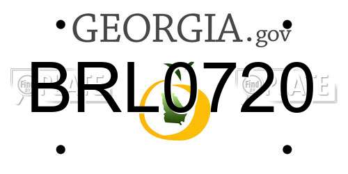 BRL0720 Georgia License Plate