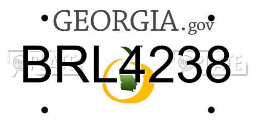 BRL4238 Georgia License Plate